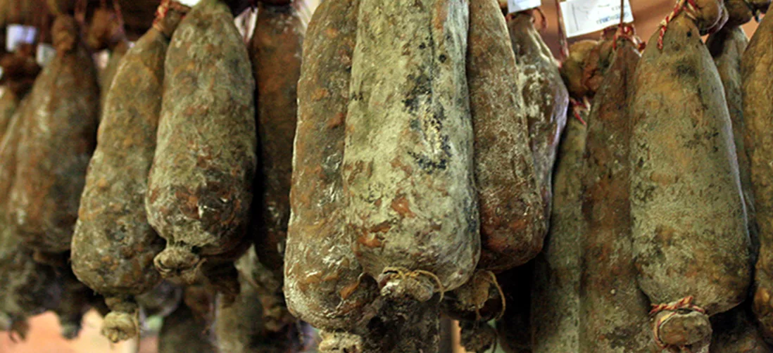 Le terroir du Domaine Navarra, au cœur de Santo-Pietro-di-Tenda