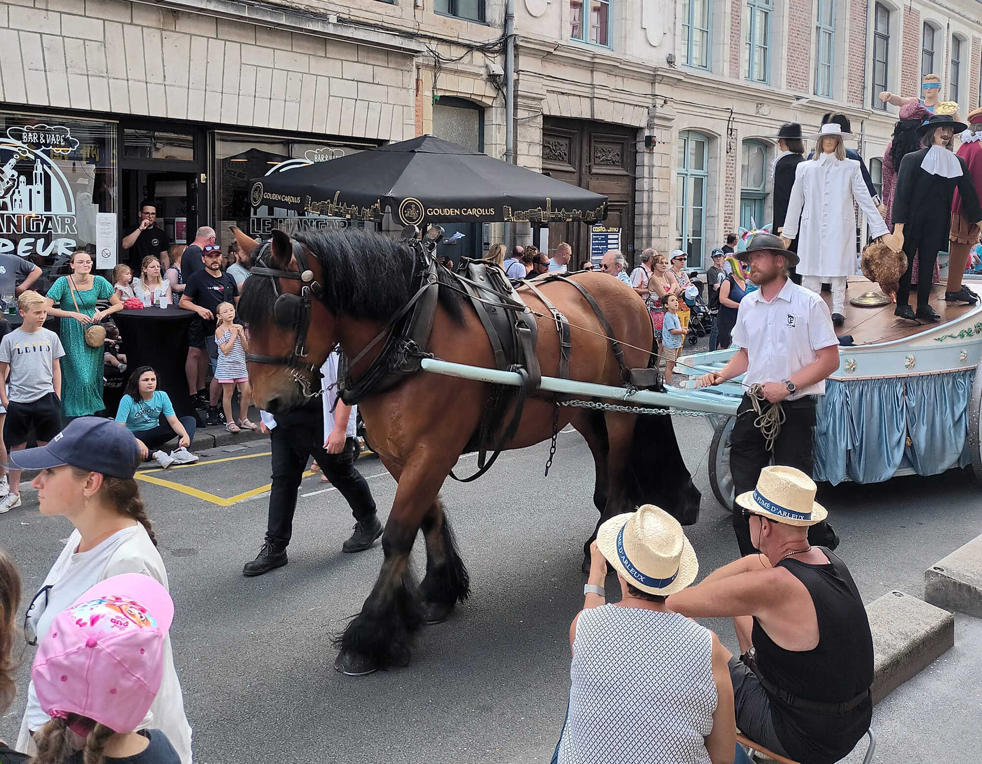 Spécialiste en traction animale à Saint-Amand-les-Eaux