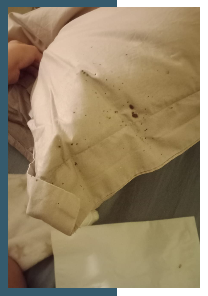 Cymexide - Traitement et éradication des punaises de lit photo 5