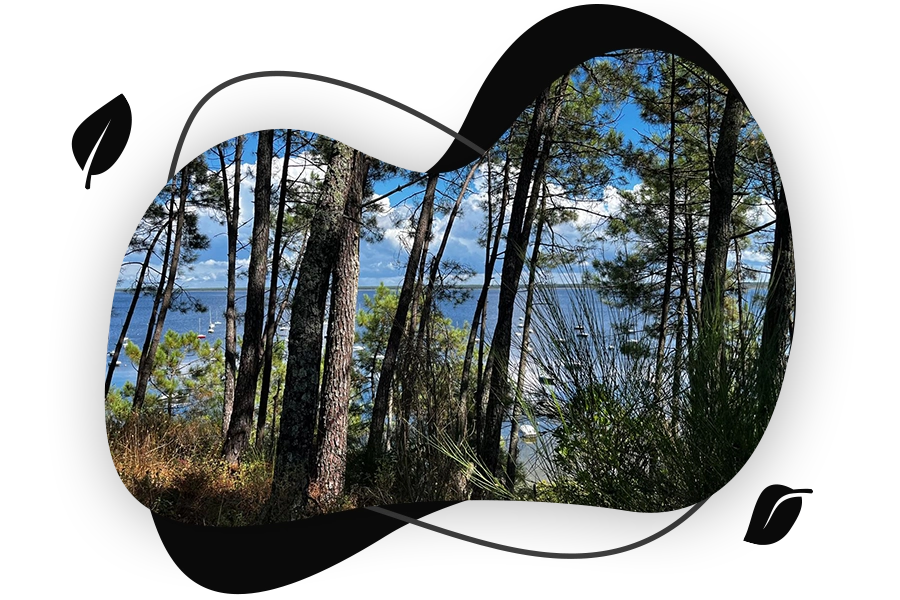 Camping Les Mimosas — photo 2