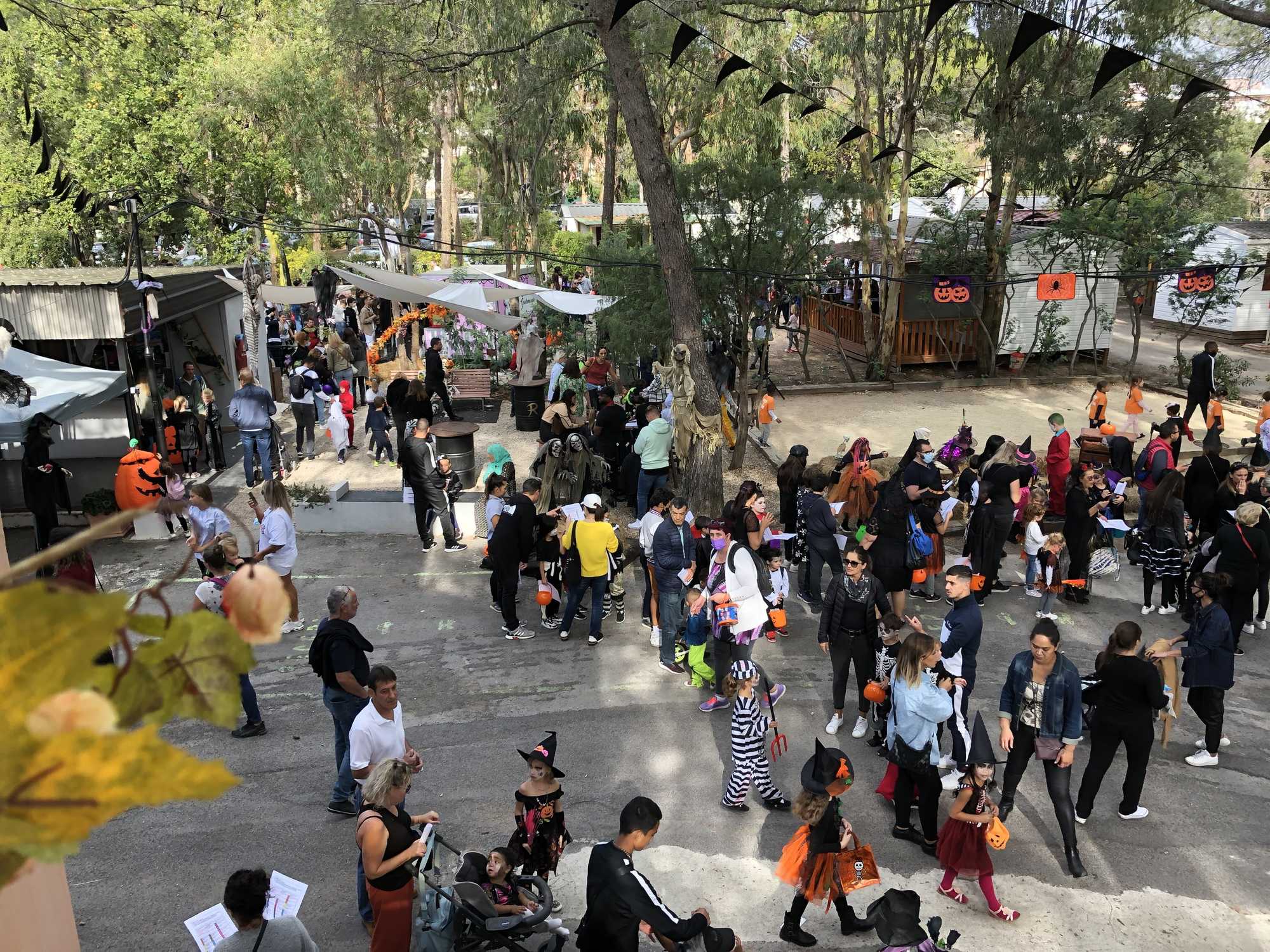 La galerie photos du Ranch de l'Aubarede au Cannet