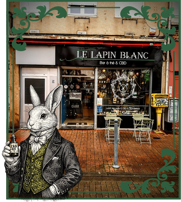 Boutique de CBD et bar à thé à Lille : 100 % naturel
