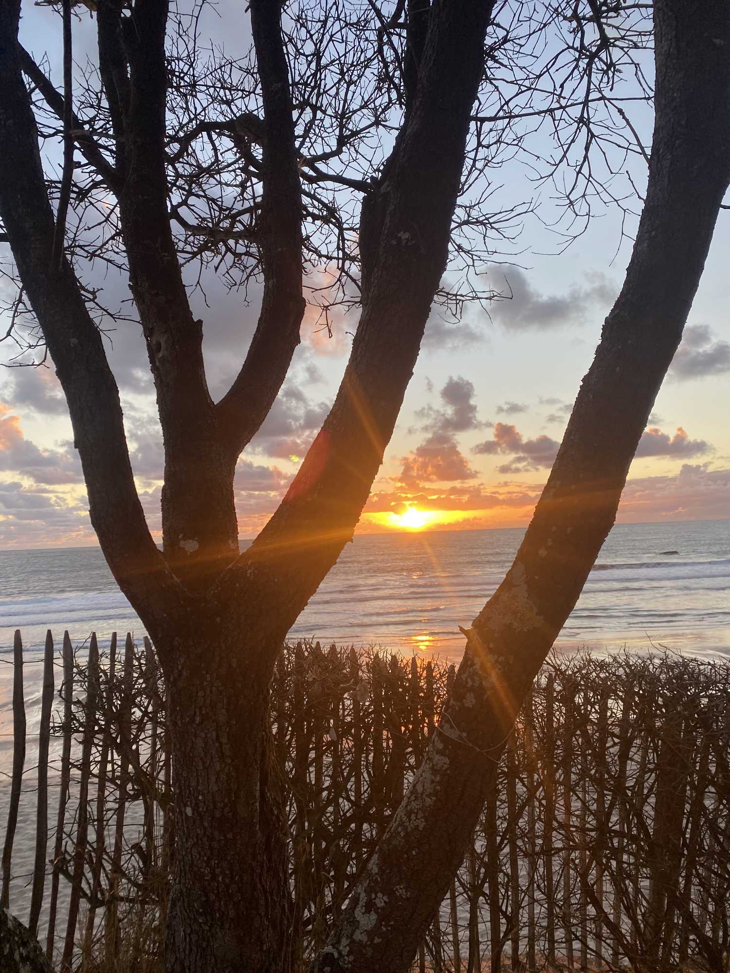 Camping Les Sables d'Argent Nature et Océan — photo 8