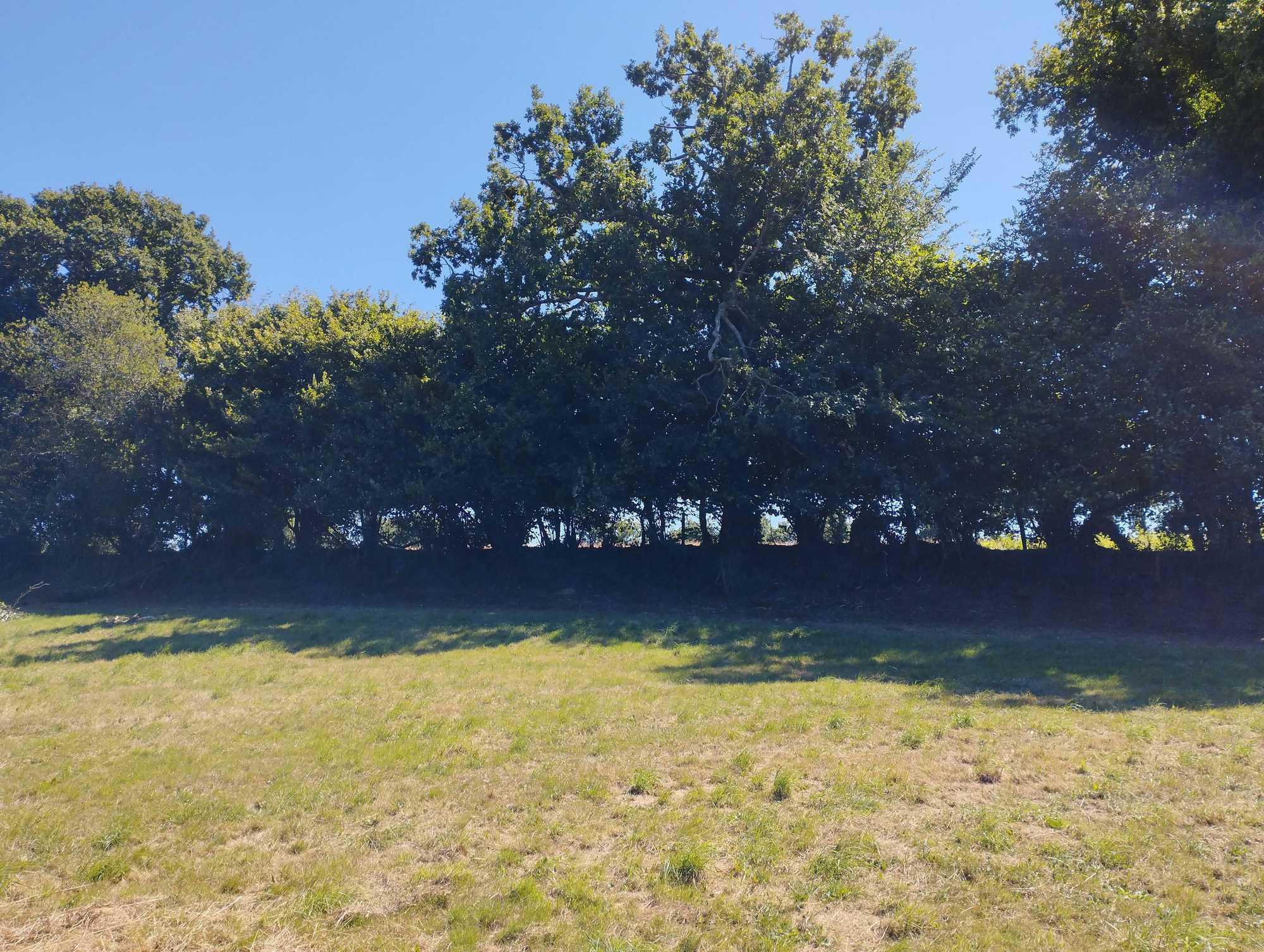 Camping de La Renaudière Féret — photo 5