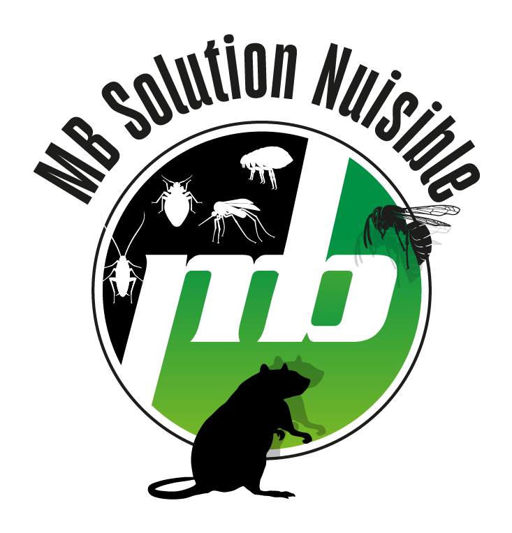 D ratiseur D sinsectiseur Wavrin Faites Appel Mes Services