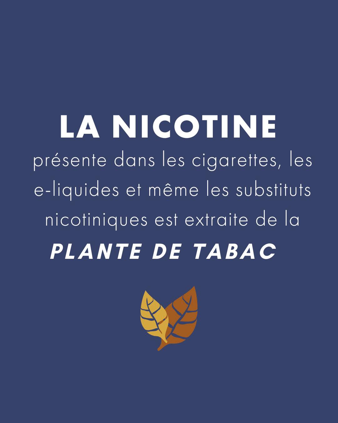 elfbar nachfüll pod läuft aus Actualités de la Vape