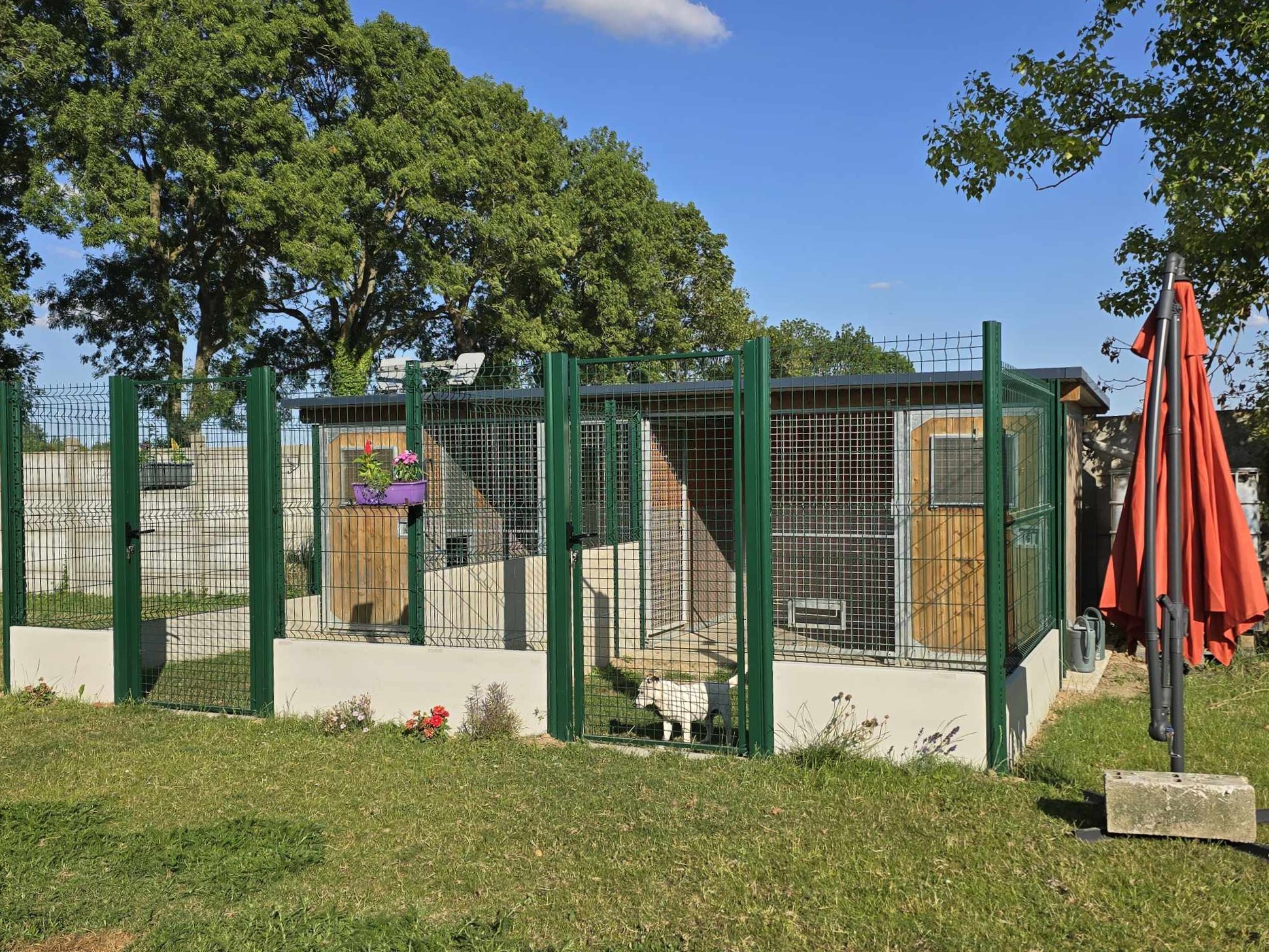 Pension Canine Aux Rues des Vignes changez Avec Nous Pension Canine Aux Rues des Vignes changez Avec Nous